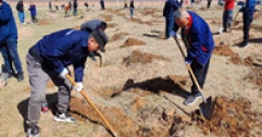 【市城市燃熱集團富泰熱力】公司組織員工參加義務(wù)植樹(shù)
